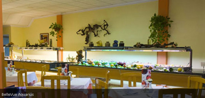 Apartmán Bellevue Aquarius Puerto del Carmen  Exteriér fotografie